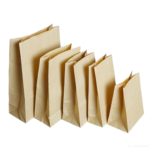 Brown Paper Bag | Paper Bags